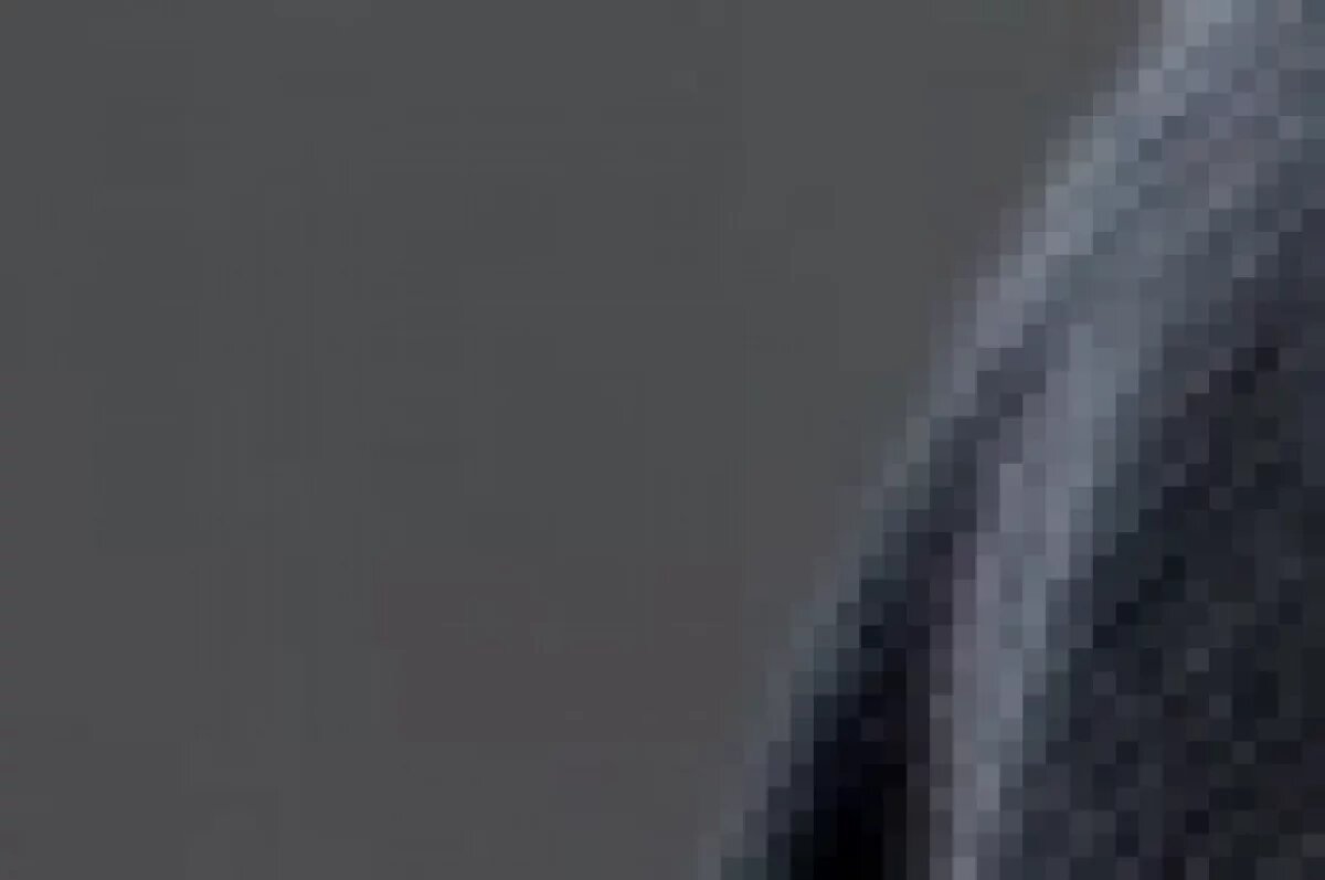    Бдительная жительница Новоалтайска не попалась на уловку мошенников