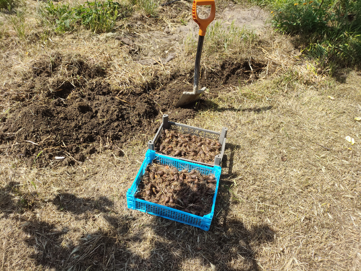 Мой утренний подвиг.