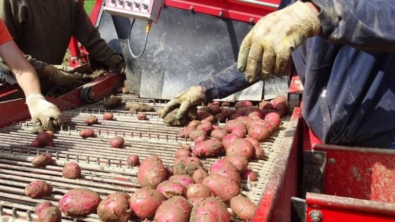    Фото с сайта правительства Сахалинской области Дмитрий Андреев