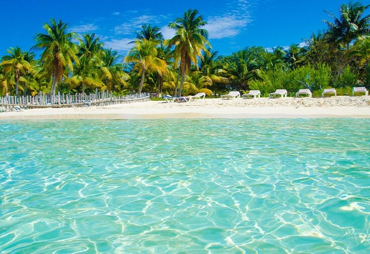 Яндекс картинки.