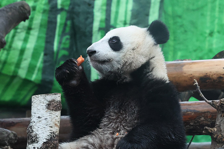    Алексей Белкин/NEWS.ru