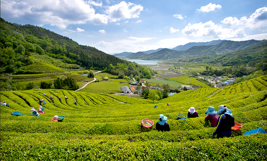 Фото с сайта mastervoyage.ru