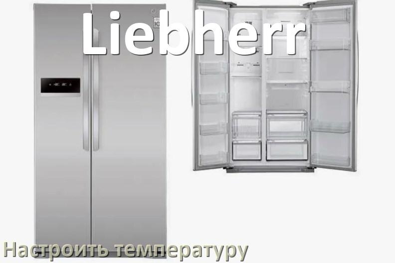 
Как в холодильнике Liebherr настроить температуру и выставить какая должна быть