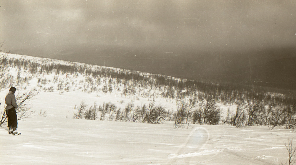    Тайна перевала Дятлова раскрыта Новая сенсация 2024 года