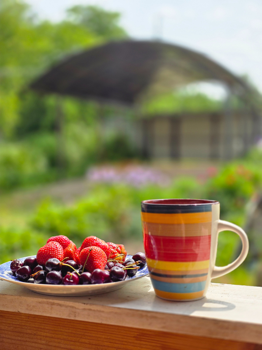 Мой завтрак 