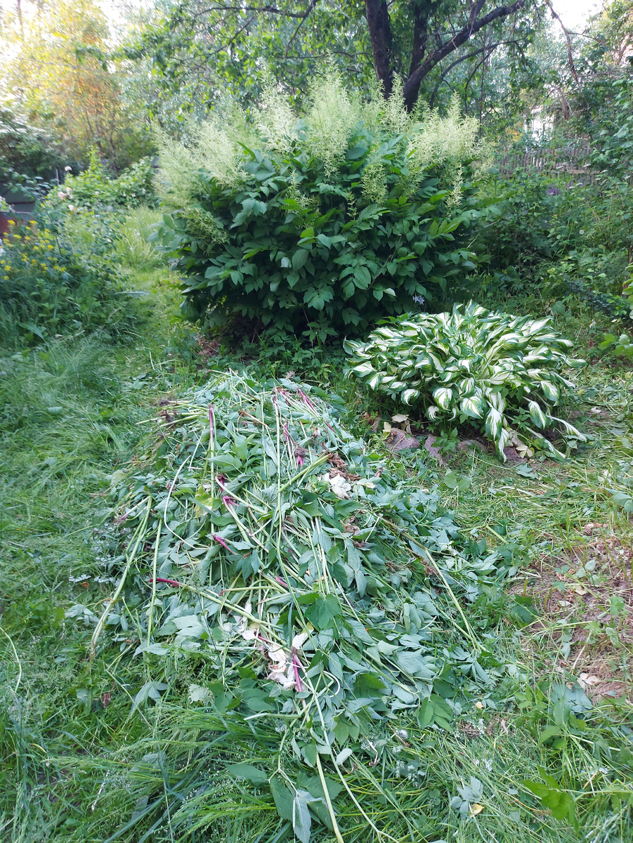 Открыла или отрыла некоторые кусты.