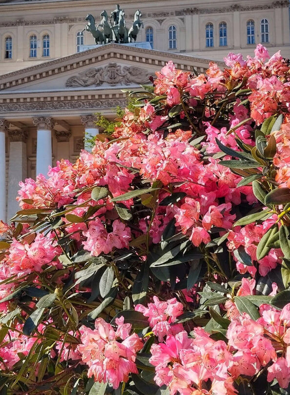 Фото: Женщина после 50