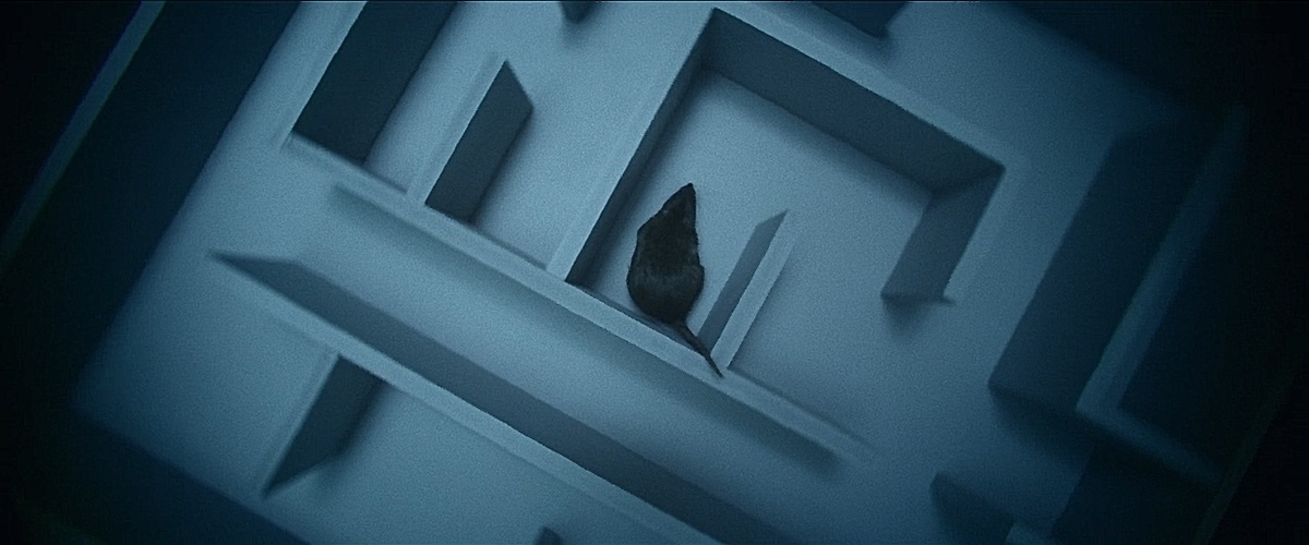 Кадр из фильма «Эффект Манделы» (2019)