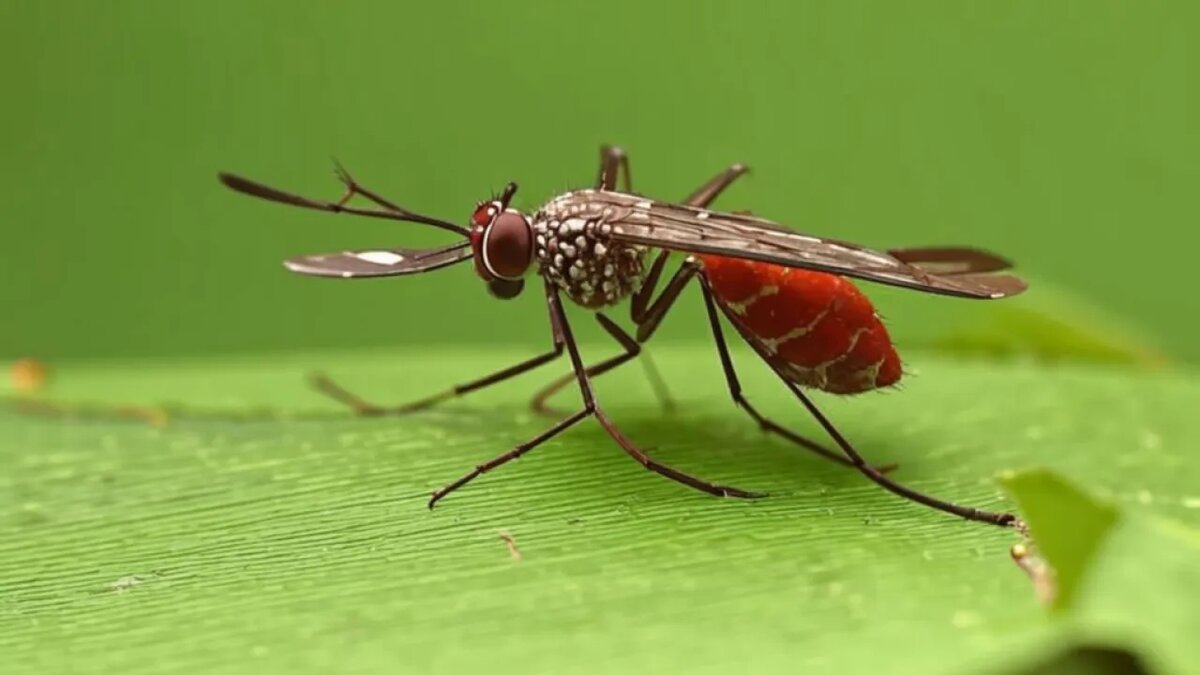    Сгенерировано ИИ