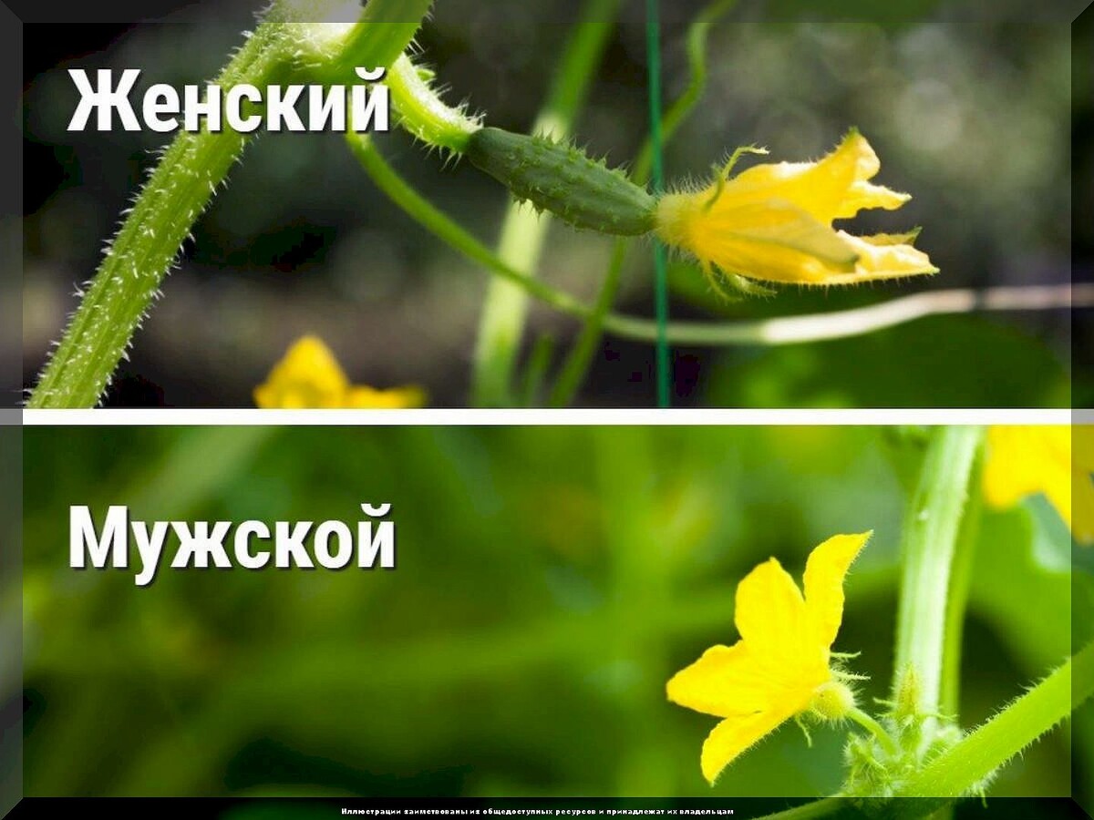 https://vk.com/photo-159774511_457271299