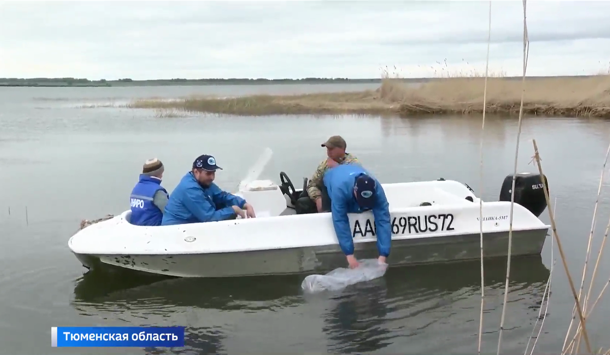 Кадр из видео