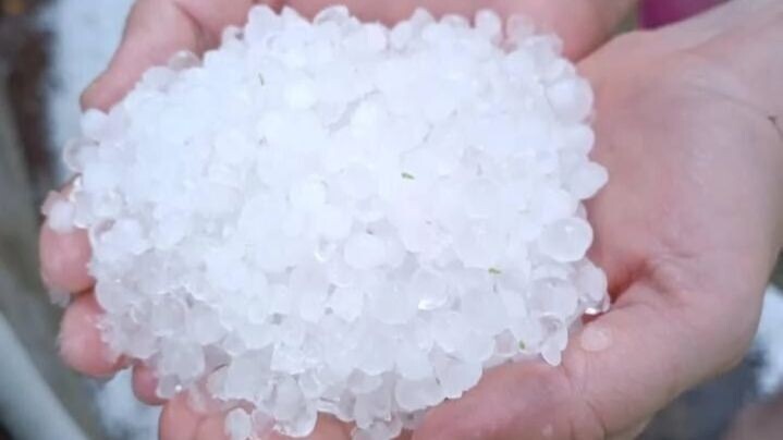 Фото: соцсети