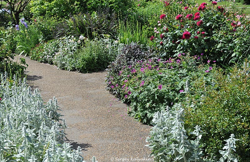 Розарий Гайд-парка