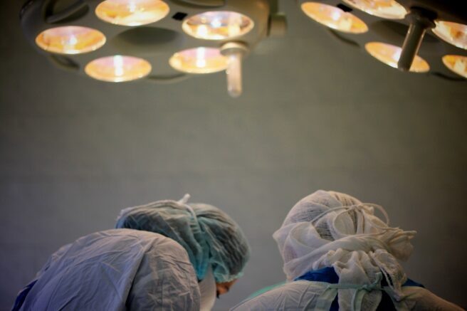    Фото: Валентина Мищенко / Югополис