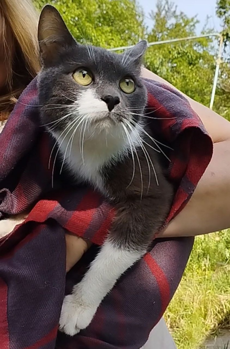 В этот день я последний раз видела Ванечку. Это последнее фото с ним. Ничего не предвещало беды. Нам казалось, что все самое страшное уже позади...