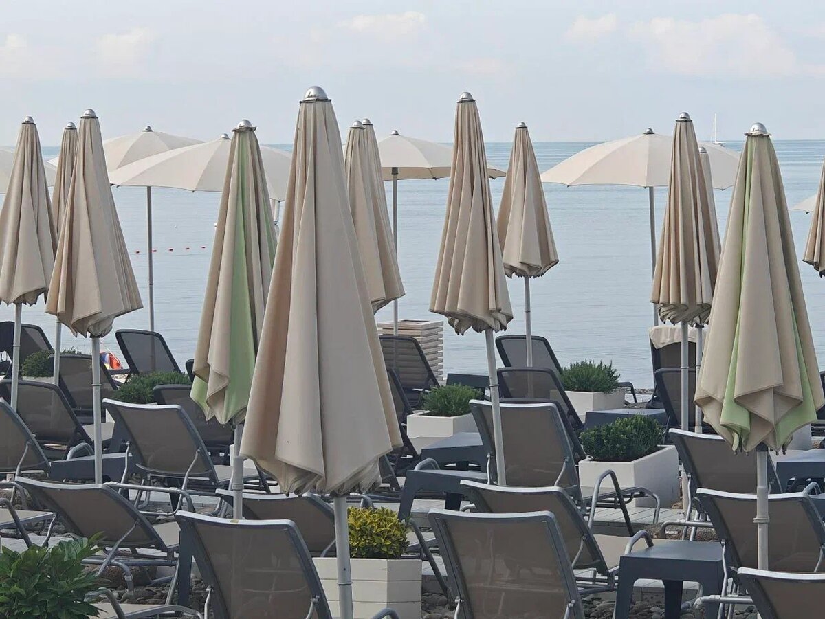    Фото: Юрий Серебренников/BFM Кубань