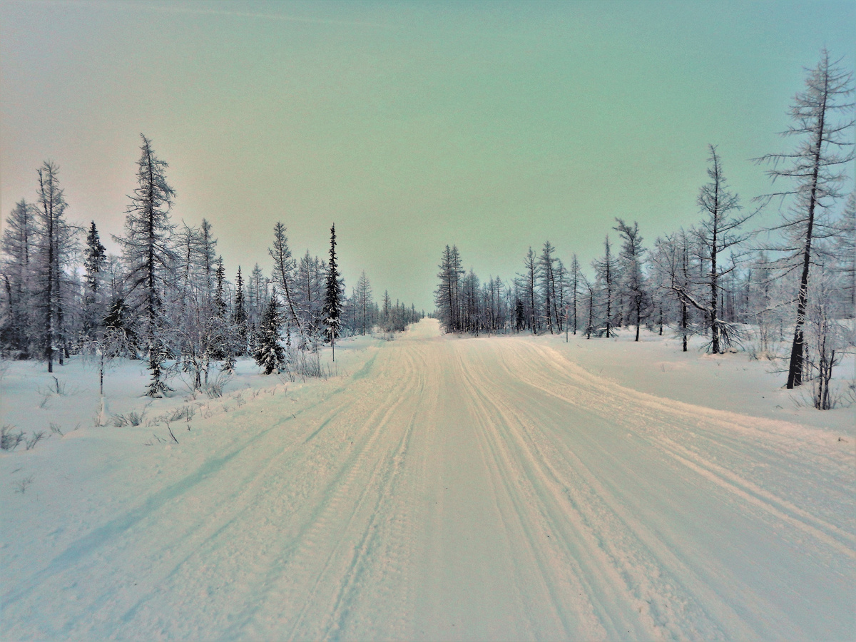 Зимник накатанный, в хорошую погоду доступен практически для любого транспорта и машины по нему движутся достаточно часто.