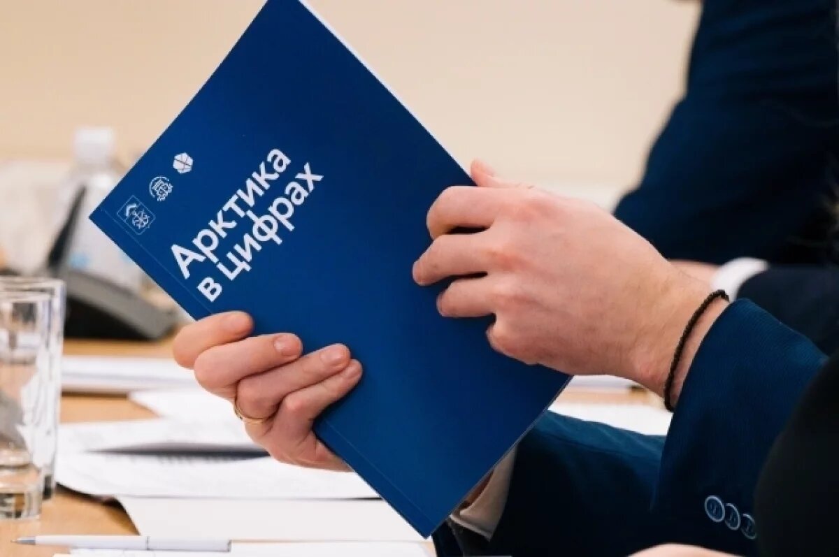    Путин поручил выделить отдельные лимиты на мастер-планы арктических городов