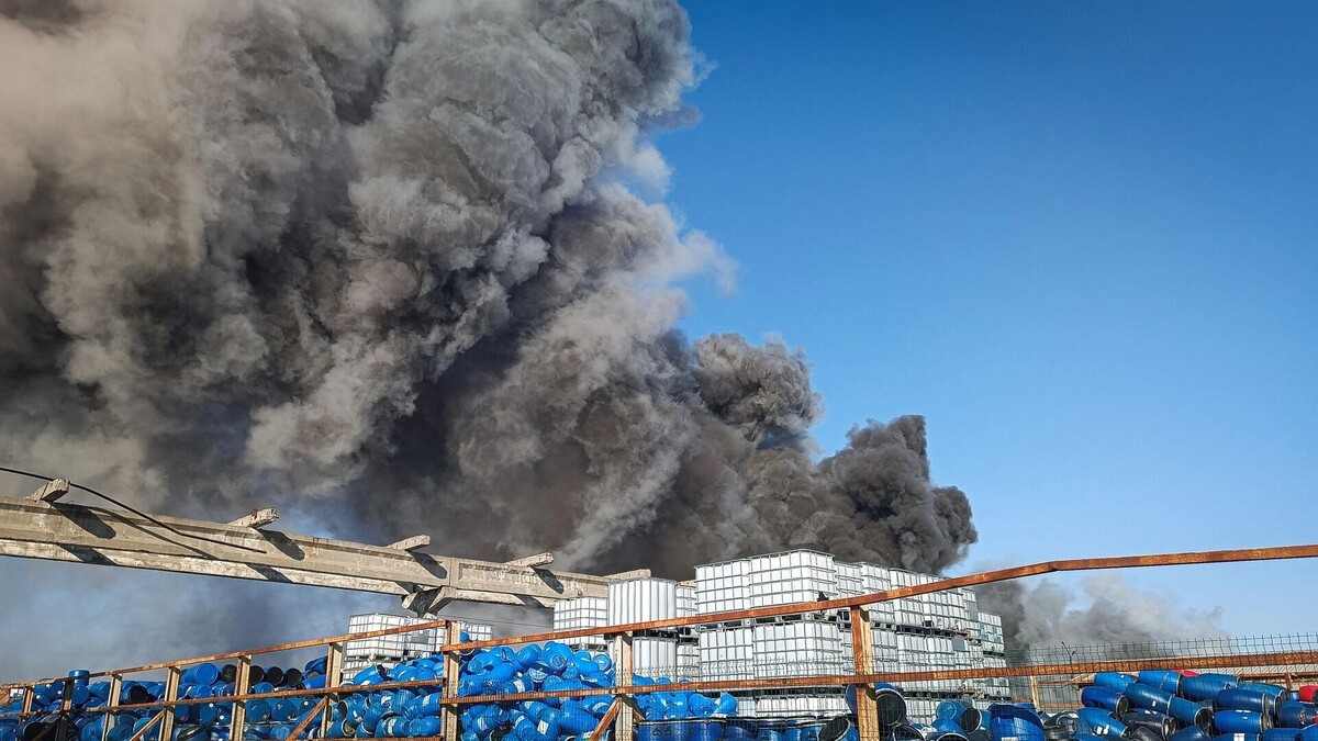     Источник: 1MI