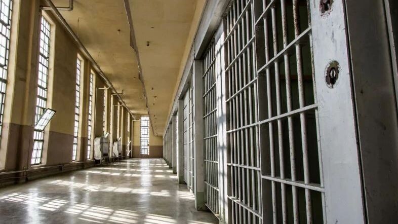    Фото: txking/Shutterstock/Fotodom