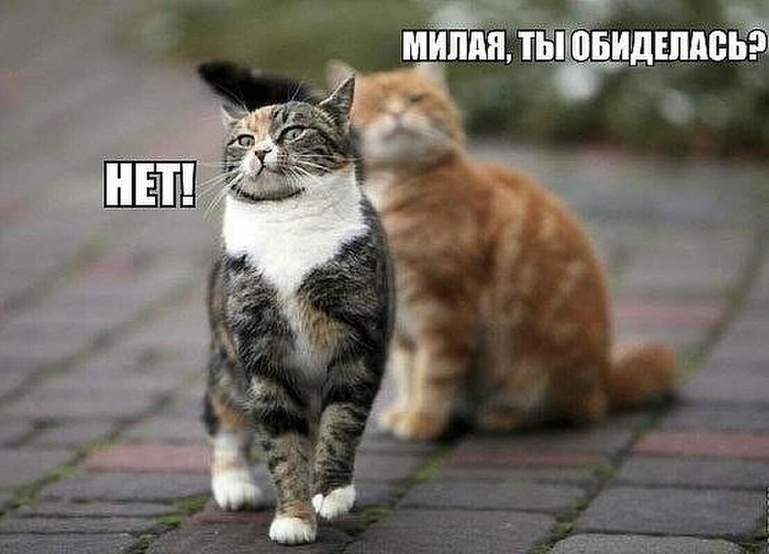 источник Яндекс-картинки