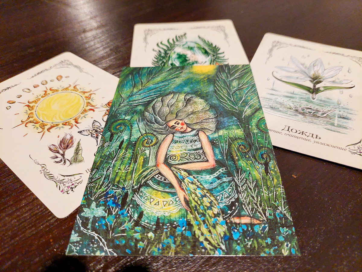 Фото автора