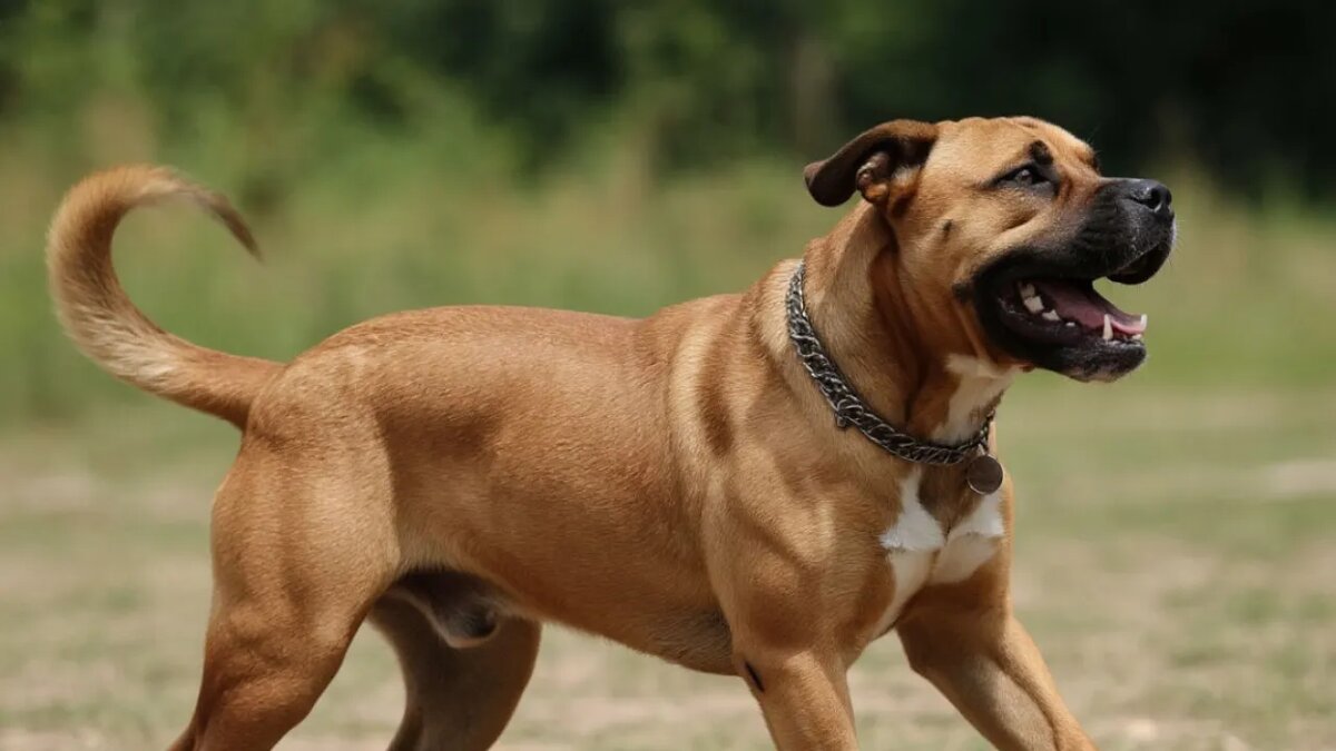    Сгенерировано ИИ