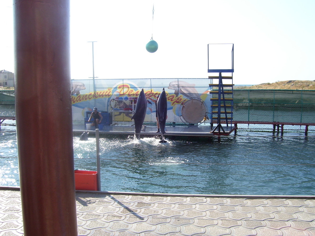 Дельфинарий, куда мы пошли под впечатлением встречи с дельфином