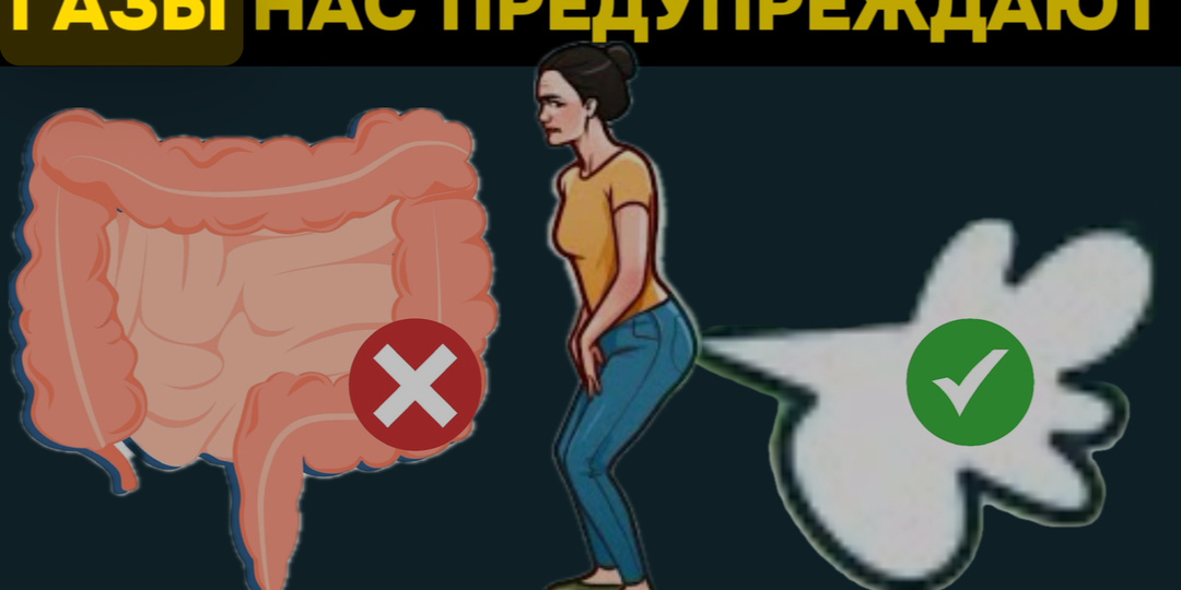 Твой кишечник кричит о помощи: 10 сигналов, что не хватает ферментов (и как это исправить)