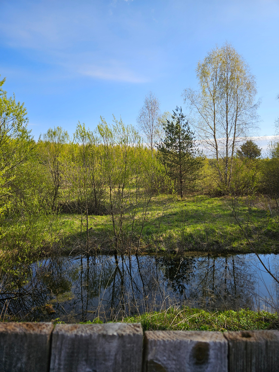 Редкий кадр майских просторов. Потому что без снега)