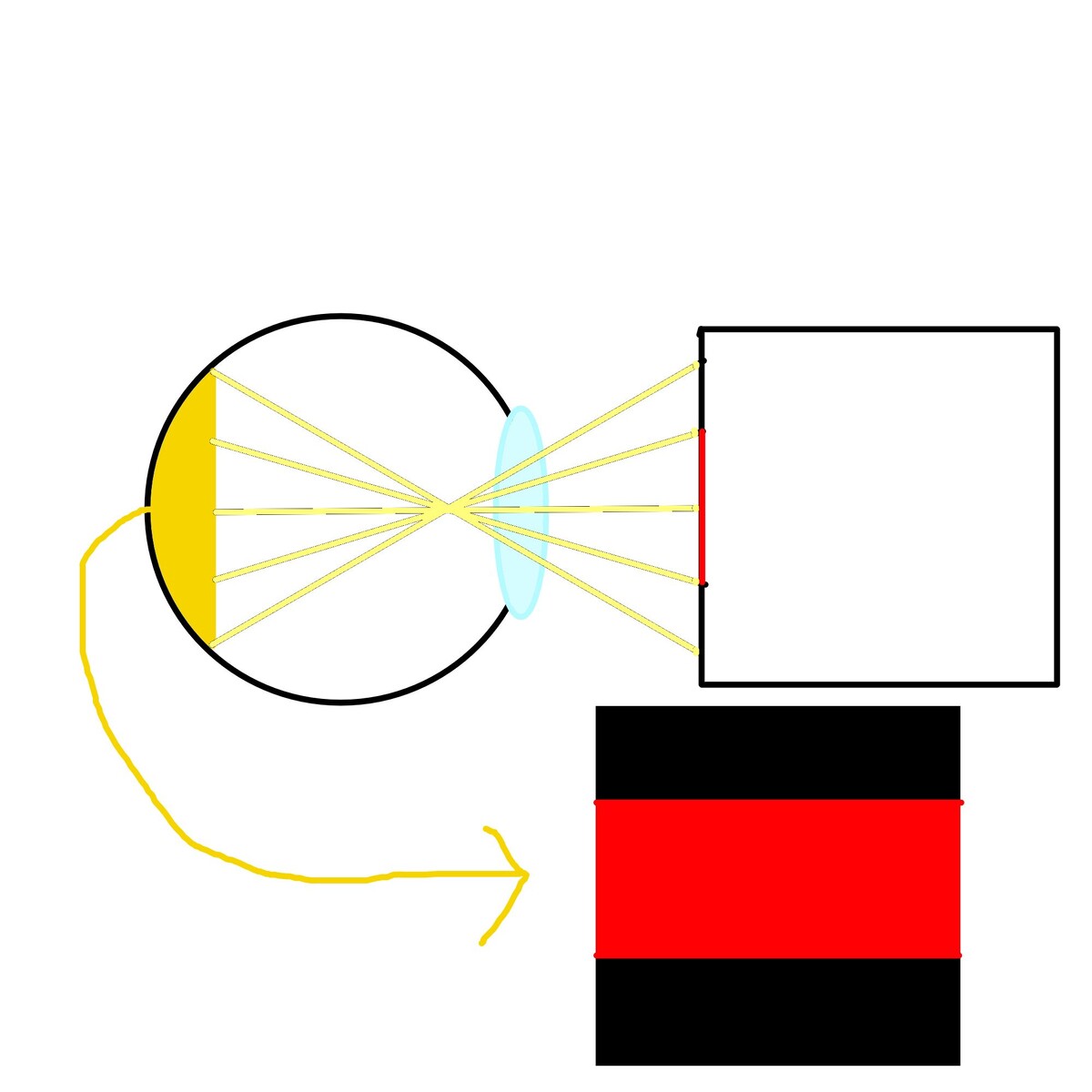 Справа в середине - объект, ниже - тот же объект, только глазом 2D-сущности.