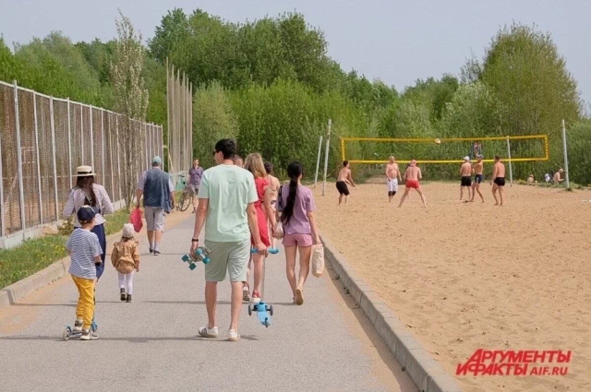    В Пермском крае пик потепления с 30-градусной жарой наступит 10-11 июня