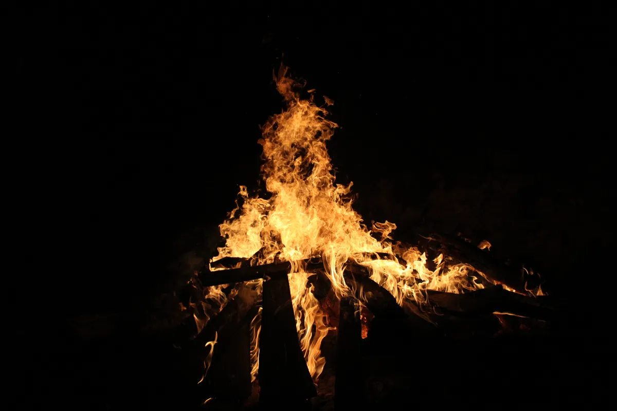 Изображение: Rique00/Shutterstock.com