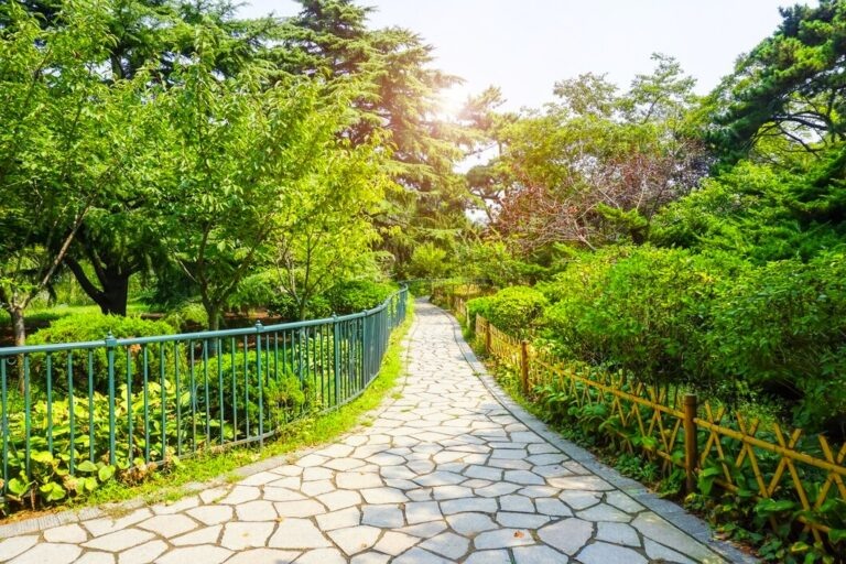    Фото: freepik / 4045 Анна Мигинеишвили