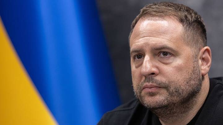  Фото: Shutterstock