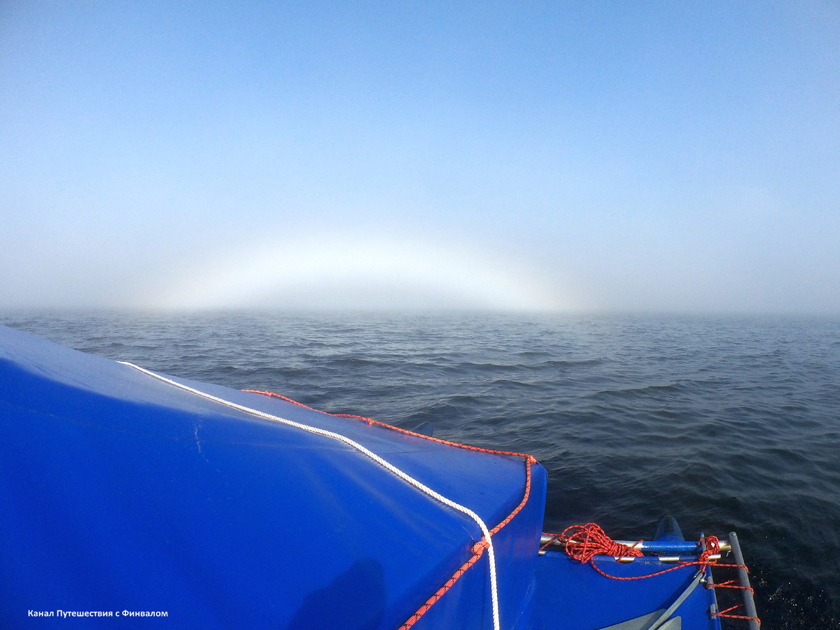 Гало в тумане (фото Алисы Таминдаровой)