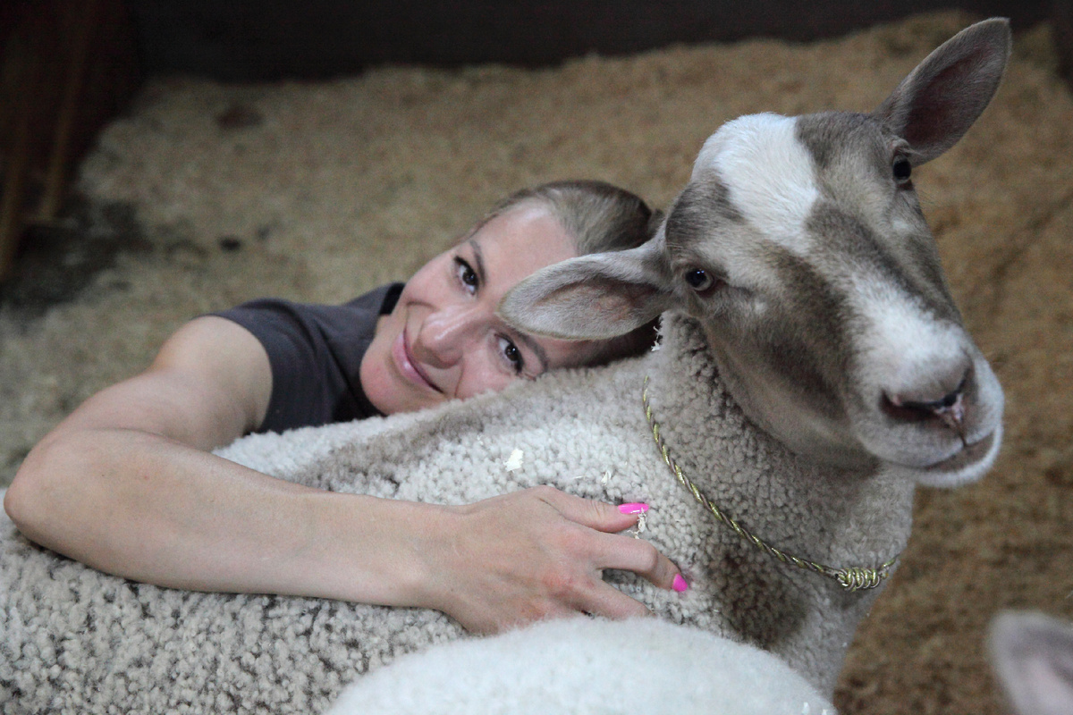 Эмилия Будзилович и ее овечки, фото: Казанский государственный цирк