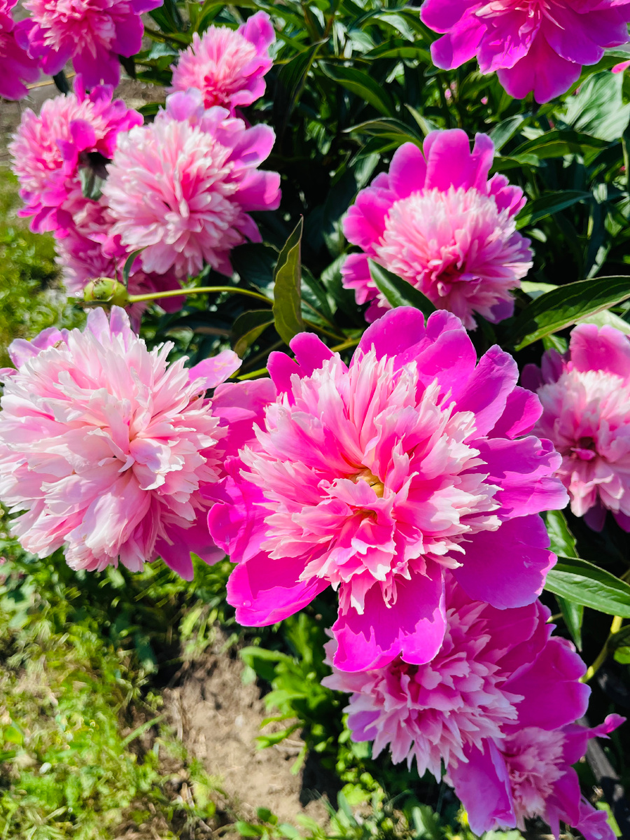 Пусть даже такие будут))😀