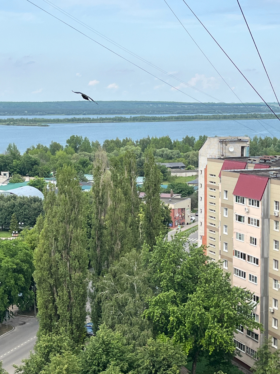 Такой вид с моего балкона на пруд - охладитель для Курской АЭС