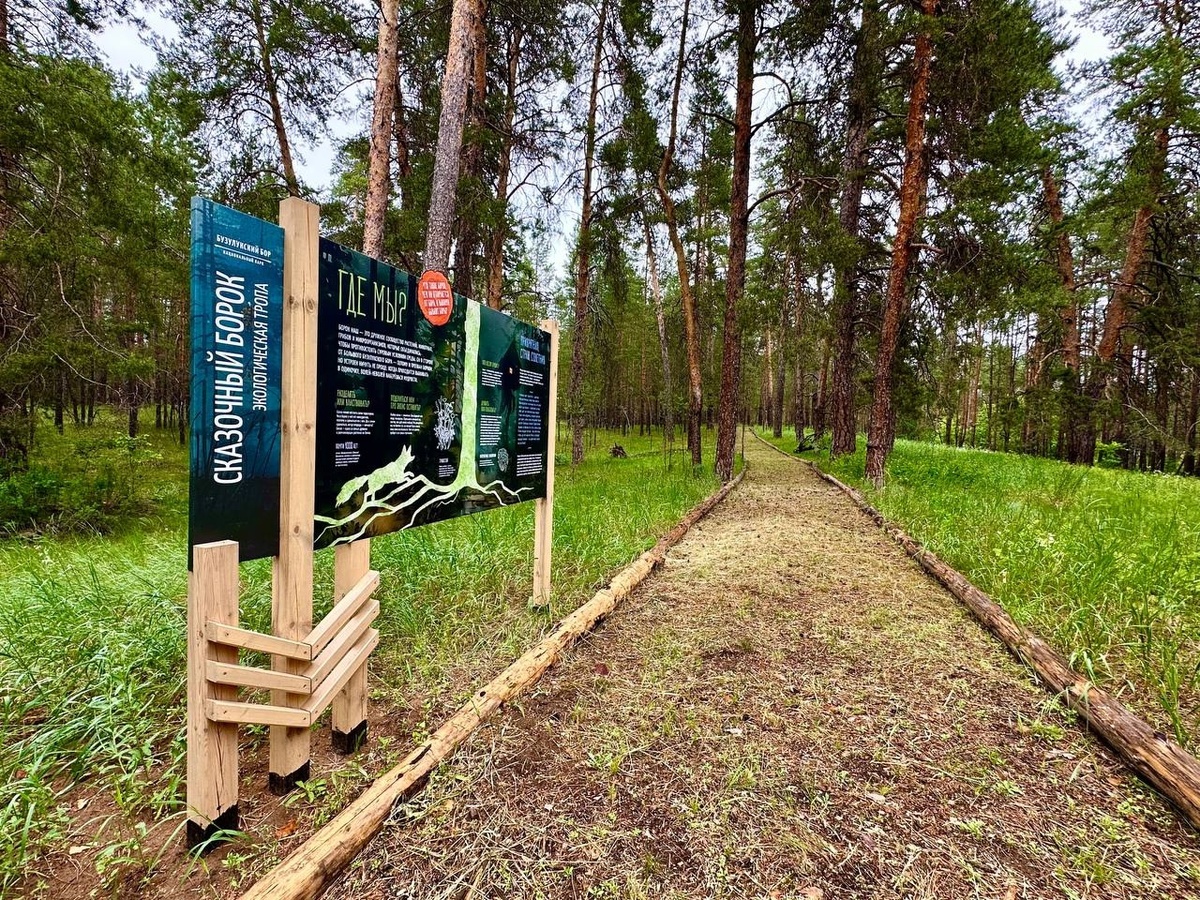    Фото Минтуризма Самарской области