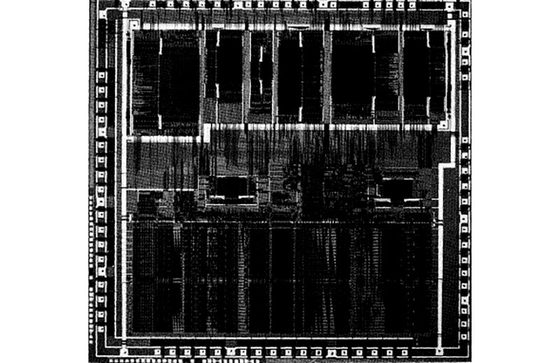 Микрофотография BELLMAC-32A