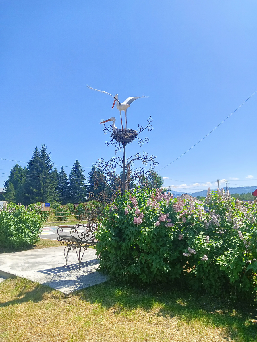 Аист в гнезде, к счастью .