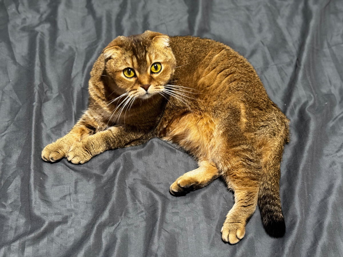 Мэй Ли (из личного архива)