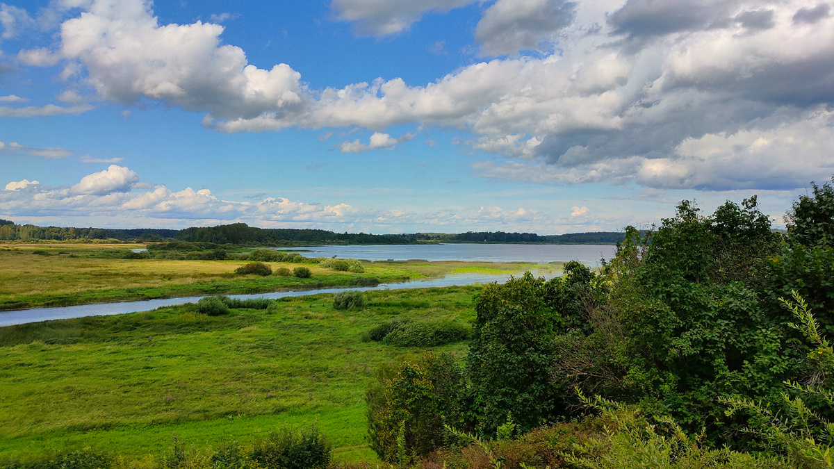 Фото автора. Вид от дома Пушкина: за озером усадьба Ганнибала 