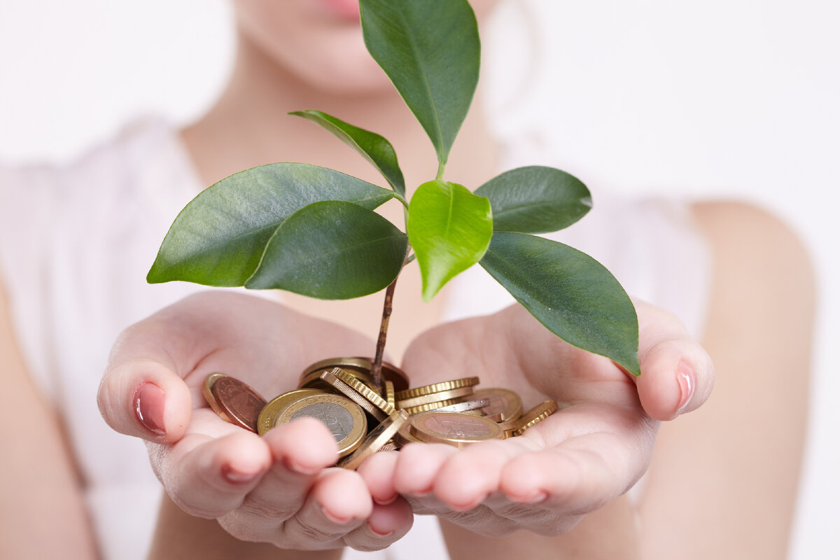 Фото с сайта: https://avatars.dzeninfra.ru