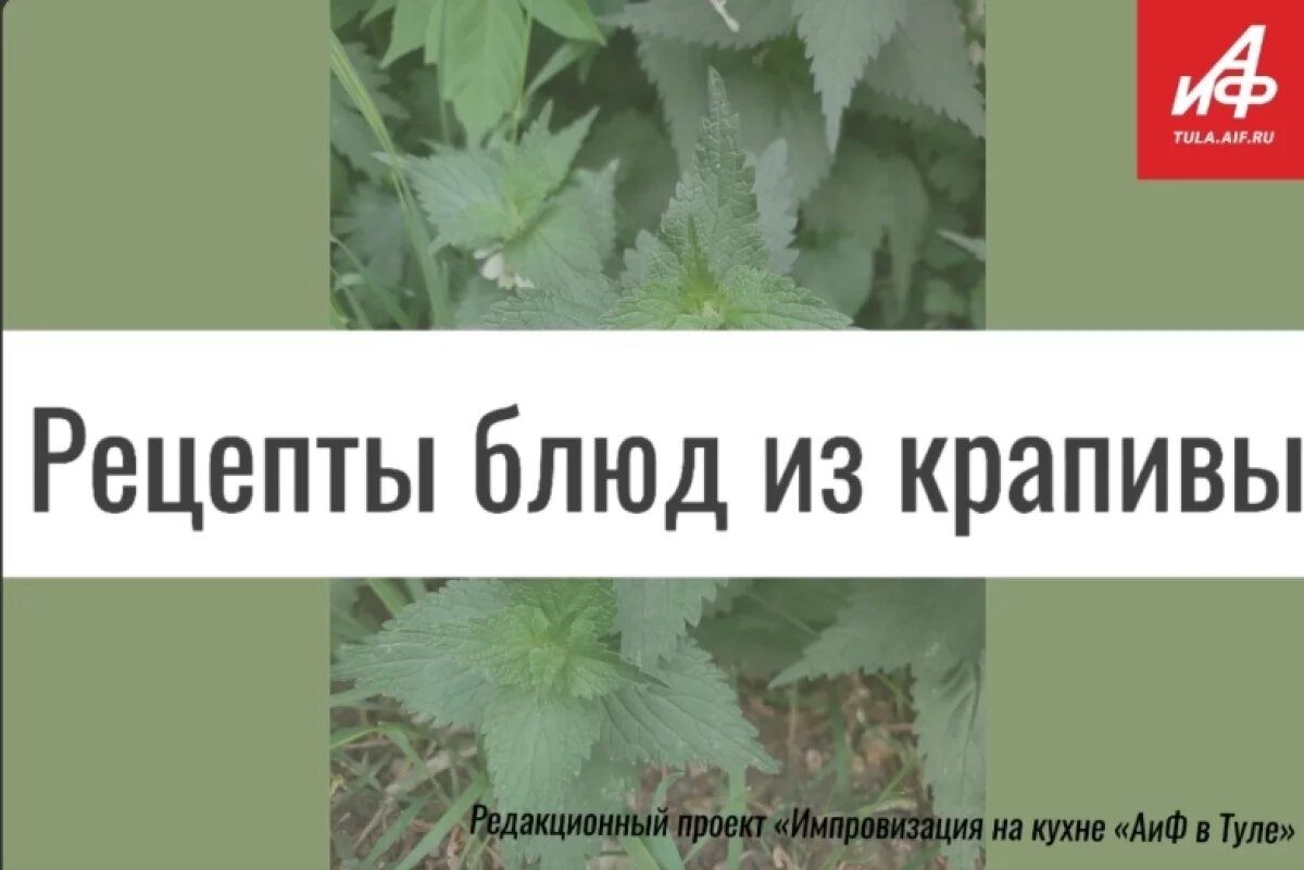    Из щавеля, крапивы и свёклы.