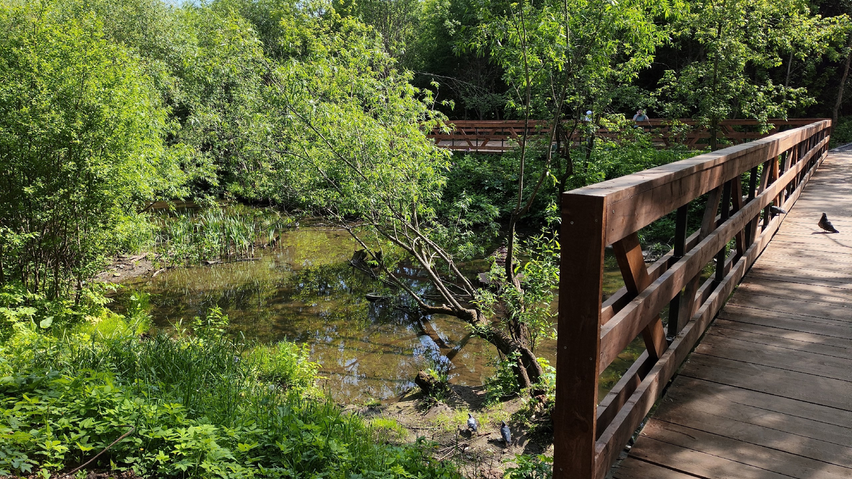 Речка Данилиха и Утиный мост.