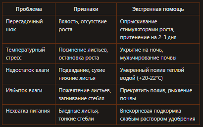 Проблемы с рассадой после высадки
