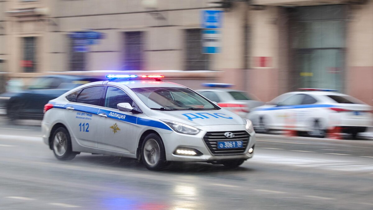    Фото: Petrov Sergey/news.ru