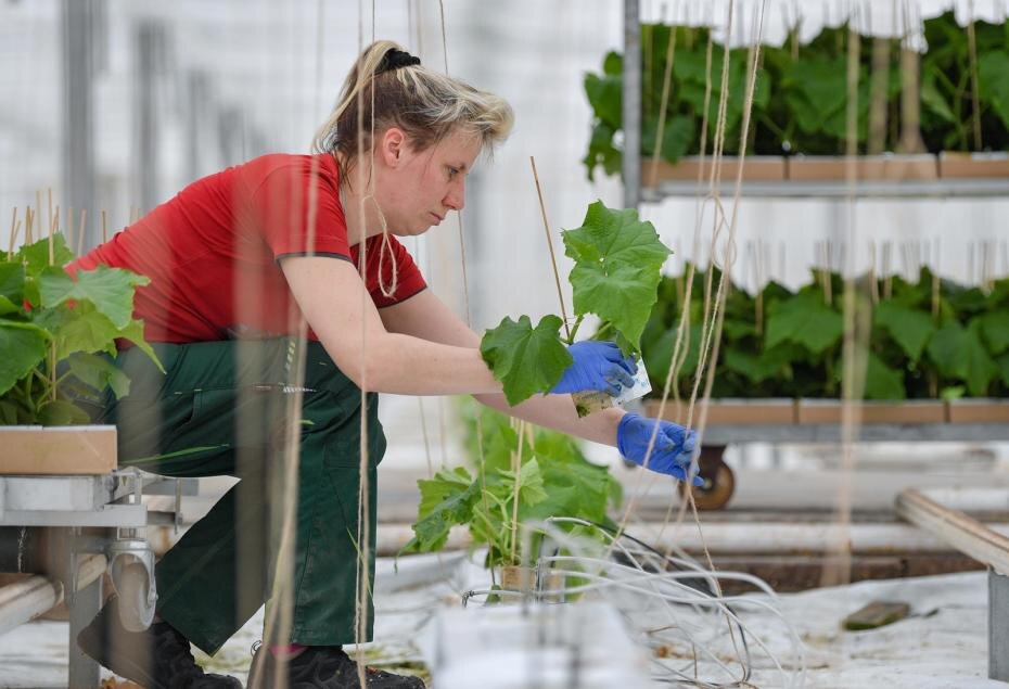    Patrick Pleul/ZB/Global Look Press